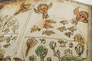 Codex Choumach (Picture Pentateuch of Moses dal Castellazzo), Warsaw, Zydowski Instytut Historyczny, Codex 1164 − Photo 14