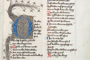 Poetry by Hugo von Montfort, Heidelberg, Universitätsbibliothek Heidelberg, Cod. Pal. germ. 329329 − Photo 4