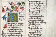 Poetry by Hugo von Montfort, Heidelberg, Universitätsbibliothek Heidelberg, Cod. Pal. germ. 329329 − Photo 6