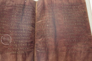 Codex Purpureus Petropolitanus, St. Petersburg, National Library of Russia, Multiple Locations − Photo 3