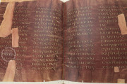 Codex Purpureus Petropolitanus, St. Petersburg, National Library of Russia, Multiple Locations − Photo 8