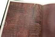 Codex Purpureus Petropolitanus, St. Petersburg, National Library of Russia, Multiple Locations − Photo 10