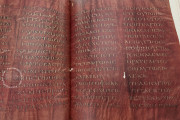 Codex Purpureus Petropolitanus, St. Petersburg, National Library of Russia, Multiple Locations − Photo 12