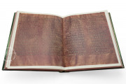 Codex Purpureus Petropolitanus, St. Petersburg, National Library of Russia, Multiple Locations − Photo 13