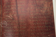 Codex Purpureus Petropolitanus, St. Petersburg, National Library of Russia, Multiple Locations − Photo 15