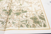 Cassini Map, Paris, Bibliothèque nationale de France − Photo 18