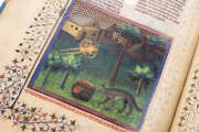 Gaston Phoebus - Master of Game, New York, The Morgan Library & Museum, MS M.1044 − Photo 7
