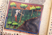 Gaston Phoebus - Master of Game, New York, The Morgan Library & Museum, MS M.1044 − Photo 11