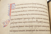 Cartulary of Mont-Saint-Michel, Avranches, Bibliothèque patrimoniale, MS 210 − Photo 13