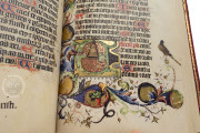 Psalter-Hours of Bernat Martorell, Barcelona, Archivo Histórico de la Ciudad de Barcelona, MS C6-A398 − Photo 12