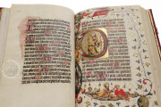 Psalter-Hours of Bernat Martorell, Barcelona, Archivo Histórico de la Ciudad de Barcelona, MS C6-A398 − Photo 13