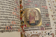 Psalter-Hours of Bernat Martorell, Barcelona, Archivo Histórico de la Ciudad de Barcelona, MS C6-A398 − Photo 22