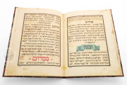 Darmstadt Pessach Haggadah, Darmstadt, Hessische Landes und Hochschulbibliothek, Codex orientalis 7 − Photo 8