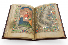 Walters Book of Hours W.173 Facsimile Edition
