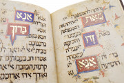 Kaufmann Haggadah, Budapest, Hungarian Academy of Sciences, MS Kaufmann A 422 − Photo 15