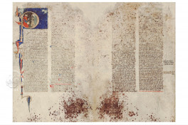 Budapest Albucasis Codex Facsimile Edition