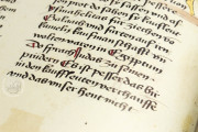 Vorau Picture Bible, Vorau, Stift Vorau, Codex 273 − Photo 9