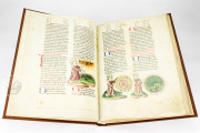 Vorau Picture Bible, Vorau, Stift Vorau, Codex 273 − Photo 19