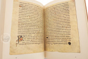 Irish Gospels of St. Gall, St. Gall, Stiftsbibliothek St. Gallen, Cod. Sang. 51 − Photo 9