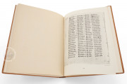 Irish Gospels of St. Gall, St. Gall, Stiftsbibliothek St. Gallen, Cod. Sang. 51 − Photo 14