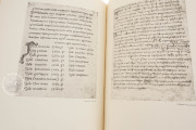 Irish Gospels of St. Gall, St. Gall, Stiftsbibliothek St. Gallen, Cod. Sang. 51 − Photo 15
