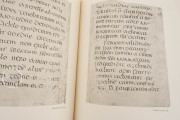 Irish Gospels of St. Gall, St. Gall, Stiftsbibliothek St. Gallen, Cod. Sang. 51 − Photo 16