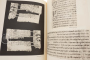 Irish Gospels of St. Gall, St. Gall, Stiftsbibliothek St. Gallen, Cod. Sang. 51 − Photo 17