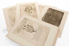 Morgan Dioscurides Facsimile Edition