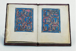 Gothic Picture Bible Facsimile Edition