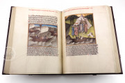 Guido de Columnis - The Trojan War, Vienna, Österreichische Nationalbibliothek, Cod. 2773 − Photo 15