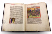 Guido de Columnis - The Trojan War, Vienna, Österreichische Nationalbibliothek, Cod. 2773 − Photo 19