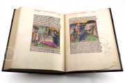 Guido de Columnis - The Trojan War, Vienna, Österreichische Nationalbibliothek, Cod. 2773 − Photo 23