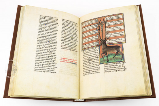 Book of the Hunt, Bruxelles, Bibliothèque Royale de Belgique, Ms. 10218 − Photo 1