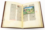 Book of the Hunt, Bruxelles, Bibliothèque Royale de Belgique, Ms. 10218 − Photo 6