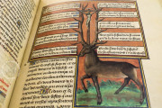 Book of the Hunt, Bruxelles, Bibliothèque Royale de Belgique, Ms. 10218 − Photo 11