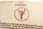 Liber Physiognomiae, Modena, Biblioteca Estense Universitaria, Ms. Lat. 697 = α.W.8.20 − Photo 8