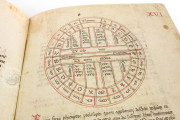 Liber Physiognomiae, Modena, Biblioteca Estense Universitaria, Ms. Lat. 697 = α.W.8.20 − Photo 11