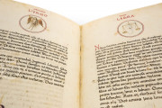 Liber Physiognomiae, Modena, Biblioteca Estense Universitaria, Ms. Lat. 697 = α.W.8.20 − Photo 12