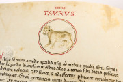 Liber Physiognomiae, Modena, Biblioteca Estense Universitaria, Ms. Lat. 697 = α.W.8.20 − Photo 17