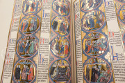 Bible of Saint Louis, New York, The Morgan Library & Museum, MS M.240
Toledo, Santa Iglesia Catedral Primada, MSS 1-3 − Photo 4