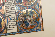 Bible of Saint Louis, New York, The Morgan Library & Museum, MS M.240
Toledo, Santa Iglesia Catedral Primada, MSS 1-3 − Photo 13
