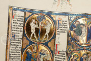 Bible of Saint Louis, New York, The Morgan Library & Museum, MS M.240
Toledo, Santa Iglesia Catedral Primada, MSS 1-3 − Photo 14