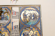 Bible of Saint Louis, New York, The Morgan Library & Museum, MS M.240
Toledo, Santa Iglesia Catedral Primada, MSS 1-3 − Photo 18