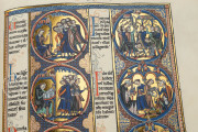 Bible of Saint Louis, New York, The Morgan Library & Museum, MS M.240
Toledo, Santa Iglesia Catedral Primada, MSS 1-3 − Photo 3