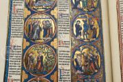 Bible of Saint Louis, New York, The Morgan Library & Museum, MS M.240
Toledo, Santa Iglesia Catedral Primada, MSS 1-3 − Photo 18