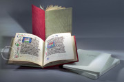 Das Lehrbuch fur Kaiser Maximilian, Codex Vindobonensis 2368 - Österreichische Nationalbibliothek (Vienna, Austria) − Photo 8