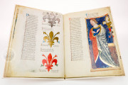 Poem of Praise for King Robert of Anjou, Vienna, Österreichische Nationalbibliothek, Cod. Ser. n. 2639 − Photo 18
