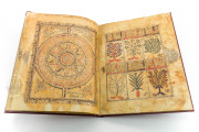 Kitab al-Diryaq, Paris, Bibliothèque Nationale de France, Ms. Arabe 2964 − Photo 3