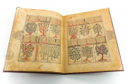 Kitab al-Diryaq, Paris, Bibliothèque Nationale de France, Ms. Arabe 2964 − Photo 7