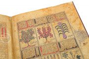 Kitab al-Diryaq, Paris, Bibliothèque Nationale de France, Ms. Arabe 2964 − Photo 14